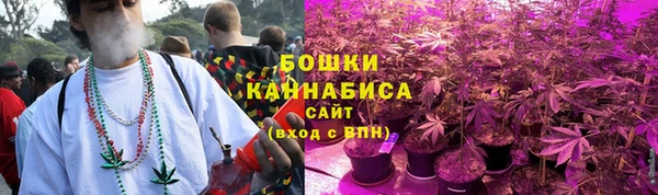соль ск Алзамай