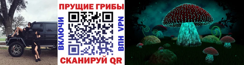 Псилоцибиновые грибы мицелий  Аргун 
